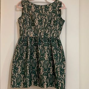 Zara Green nude lace skater dress size a Month